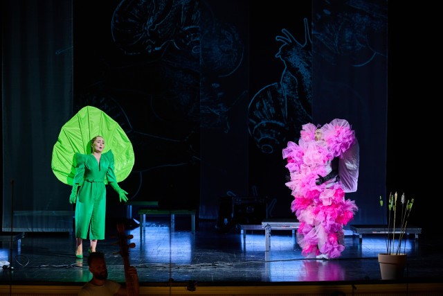 Slideshow Amor vincitore